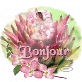 Bonjour