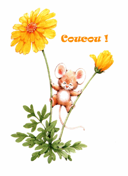 Bonjour