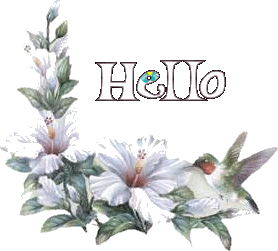 Bonjour