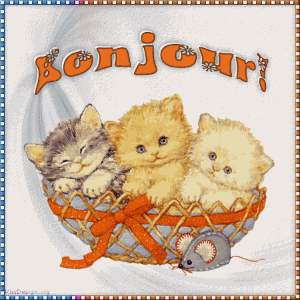 Bonjour