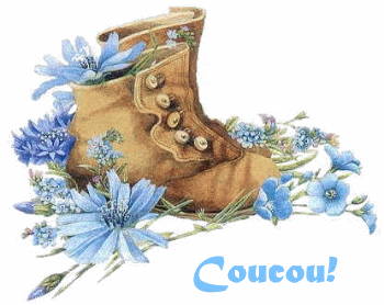 Bonjour