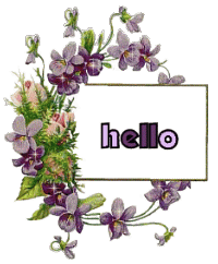Bonjour