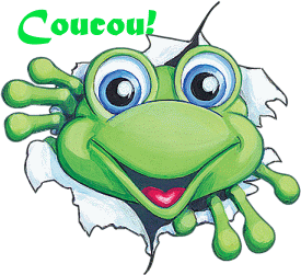 Bonjour