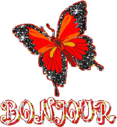 Bonjour