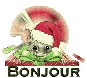 Bonjour