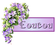 Bonjour