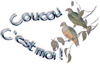 Bonjour