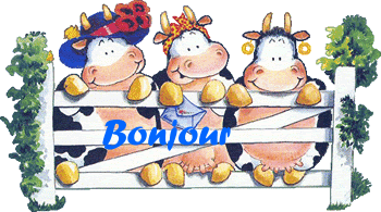 Bonjour