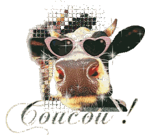 Bonjour