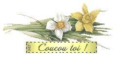 Bonjour