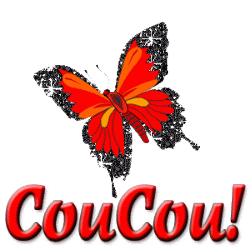 Bonjour