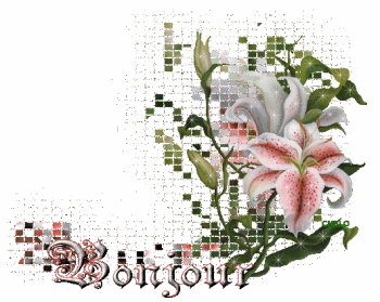 Bonjour