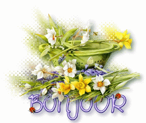 Bonjour