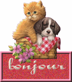 Bonjour