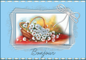 Bonjour