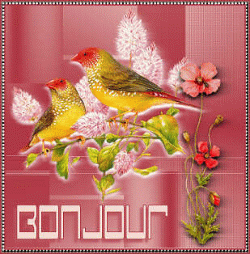 Bonjour