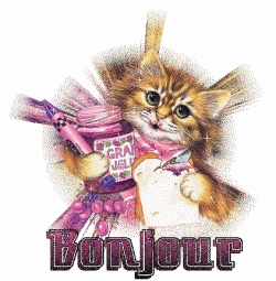 Bonjour