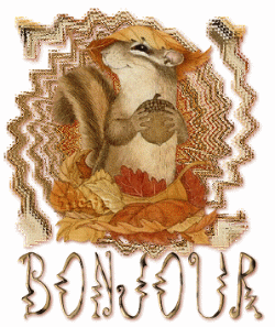 Bonjour