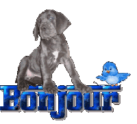 Bonjour