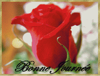 Bonjour