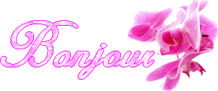Bonjour
