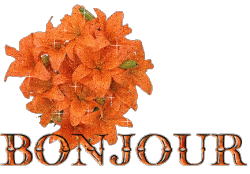 Bonjour
