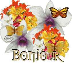 Bonjour
