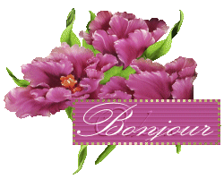 Bonjour