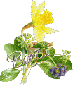 Bonjour