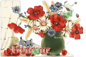 Bonjour