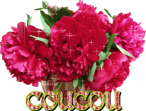 Bonjour