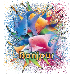 Bonjour