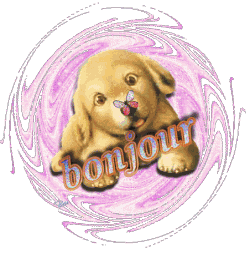 Bonjour