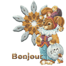 Bonjour