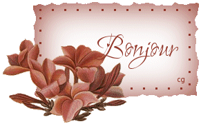 Bonjour