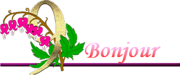 Bonjour