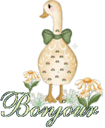 Bonjour