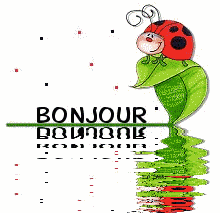 Bonjour