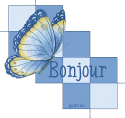 Bonjour