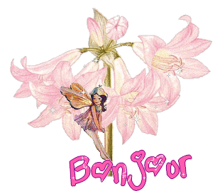 Bonjour