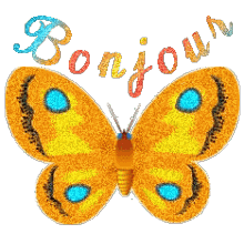 Bonjour