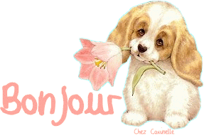 Bonjour