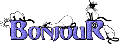 Bonjour