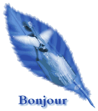 Bonjour