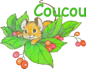 Bonjour