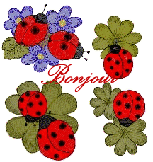 Bonjour