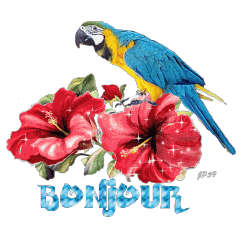 Bonjour
