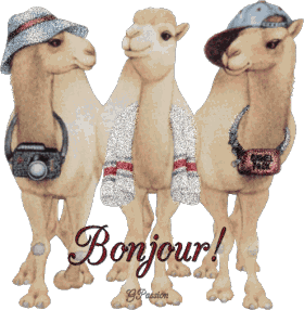 Bonjour