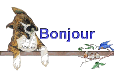 Bonjour
