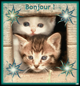 Bonjour